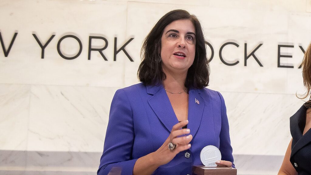 Republicans appeal New York ruling on Rep. Nicole Malliotakis district