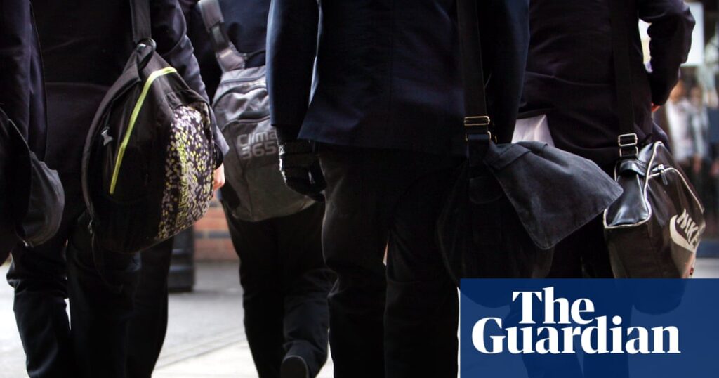 New gender guidance for UK primary schoolchildren permits use of different pronouns | Education