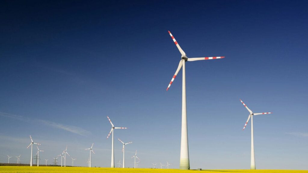 Obama-funded Minnesota wind project fined after bald eagle killed by turbine