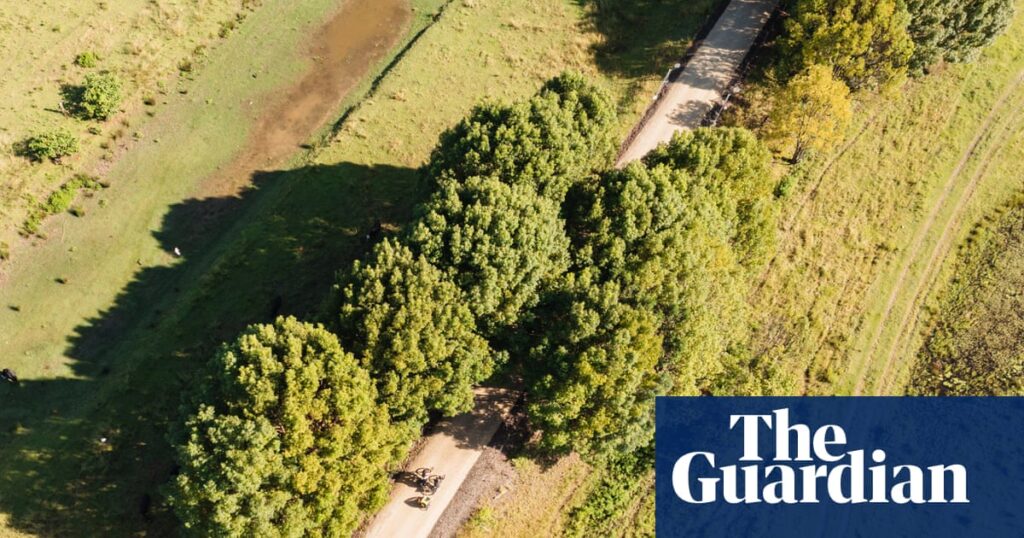 Canefields to ocean to rolling hills: vision splendid of 135km northern NSW rail trail short-changed | Transport