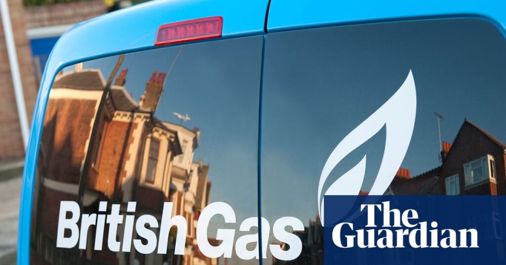 British Gas mixed up our energy meter – but now I’m being penalised | Money